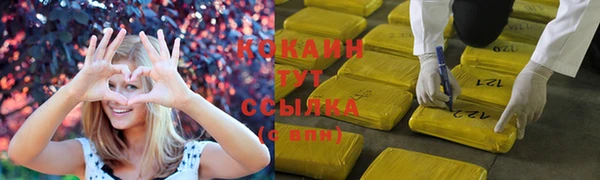 прущая мука Богородицк