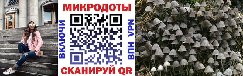 Галлюциногенные грибы Magic Shrooms  наркота  Буйнакск 