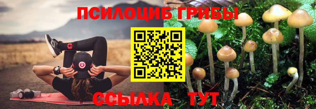 Галлюциногенные грибы мухоморы Буйнакск